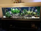 aquarium ca 260 liter, Dieren en Toebehoren, Vissen | Aquaria en Toebehoren, Ophalen, Gebruikt, Leeg aquarium