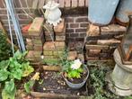 Gratis afhalen 200 tot 250 oude klinkers Rijswijk (ZH), Tuin en Terras, Tegels en Klinkers, Ophalen, Gebruikt, Klinkers, Minder dan 5 m²