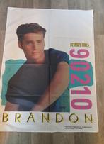 Beverly Hills 90210 Brandon vintage 1991 banner vlag tv, Ophalen of Verzenden, Zo goed als nieuw