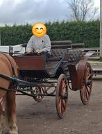 Jacht/men wagen, Gebruikt, Overige typen, Paard