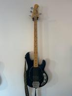 Sterling by Music Man S.U.B Stingray, Muziek en Instrumenten, Snaarinstrumenten | Gitaren | Bas, Ophalen, Zo goed als nieuw