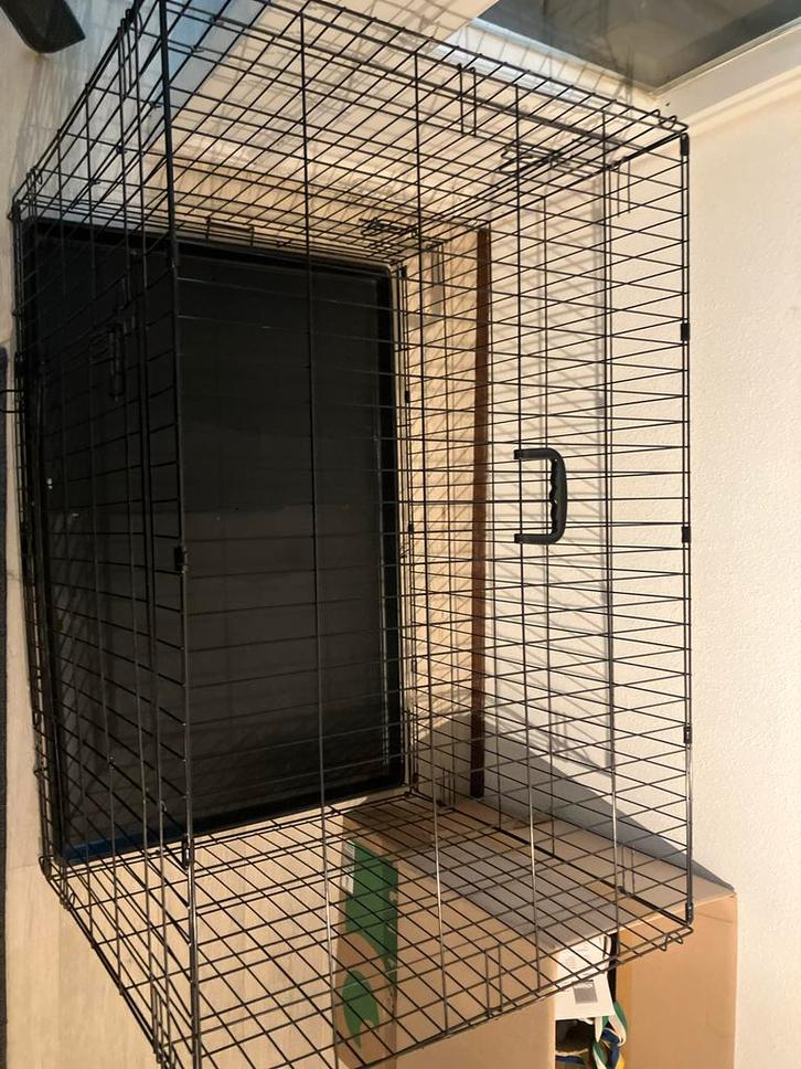 Honden bench, Dieren en Toebehoren, Hondenbenches, Gebruikt, Ophalen of Verzenden