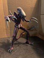 Neca Razor Claws Alien xenomorph, Verzamelen, Ophalen of Verzenden, Zo goed als nieuw