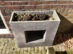 Plantenbak voor buiten, Tuin en Terras, Steen, 60 cm of meer, Gebruikt, Minder dan 60 cm