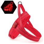 Hondentuigje met LED Verlichting zwart, rood en blauw., Ophalen of Verzenden, Nieuw, Hondenriem-accessoire