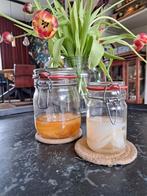 Kombucha Scoby (zwam) + starter van zwarte en groene thee, Diversen, Levensmiddelen, Ophalen of Verzenden