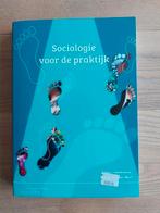 Siep van der Werf - Sociologie voor de praktijk, Ophalen of Verzenden, Zo goed als nieuw, Siep van der Werf; Klaas J. Hoeksema