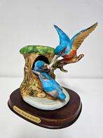 Kingfisher family Leonardo collection  voor €45,-!, Ophalen, Gebruikt, Mens