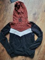 Meisjeskleding WE fashion, 4 truien en een cargobroek, Meisje, Trui of Vest, Ophalen of Verzenden, Zo goed als nieuw