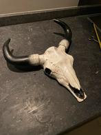 Schedel met horens decoratie, Ophalen, Gebruikt