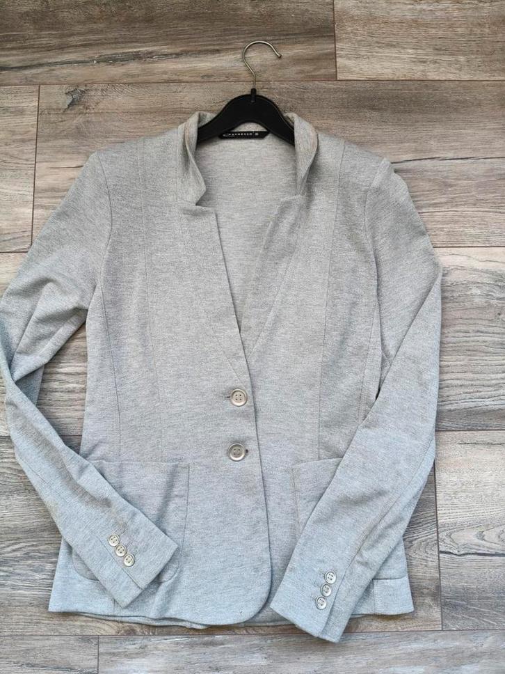 Lichtgrijze Dames Blazer - Maat 36, Kleding | Dames, Jasjes, Kostuums en Pakken, Gedragen, Jasje, Maat 36 (S), Grijs, Ophalen of Verzenden