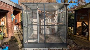 AluminiumVolière antraciet 250x200cm met polycarbonaat / ACP beschikbaar voor biedingen
