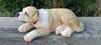 Extra grote Hoedenplank hond, XXL (auto decoratie), Ophalen of Verzenden, Zo goed als nieuw