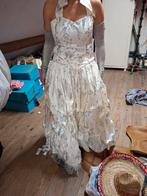 Carnaval rok en top met zilveren elementen, maat 36, Kleding | Dames, Ophalen of Verzenden, Maat 36 (S), Carnaval