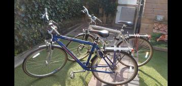 2 RALEIGH-fietsen in zeer goede staat 350 € of per stuk 190  beschikbaar voor biedingen