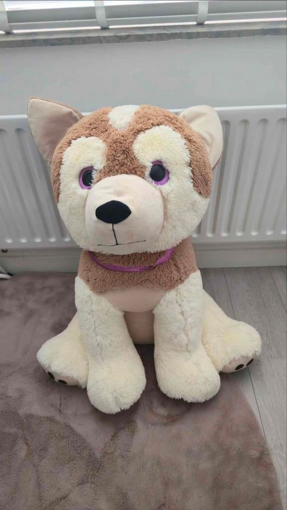 Grote knuffelhond, Ophalen, Zo goed als nieuw, Hond