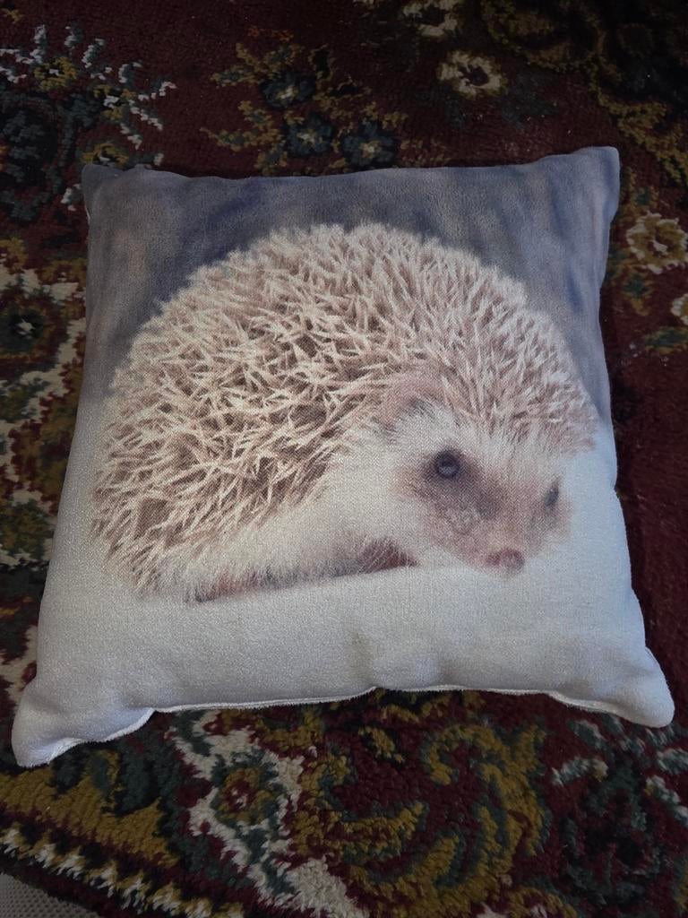 Kussen met egelprint, Huis en Inrichting, Woonaccessoires | Kussens, Ophalen of Verzenden