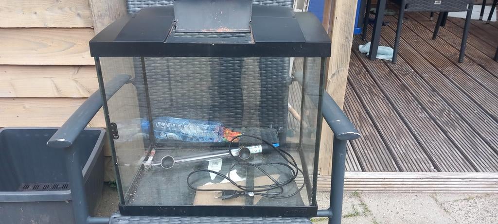 Aquarium, Dieren en Toebehoren, Vis