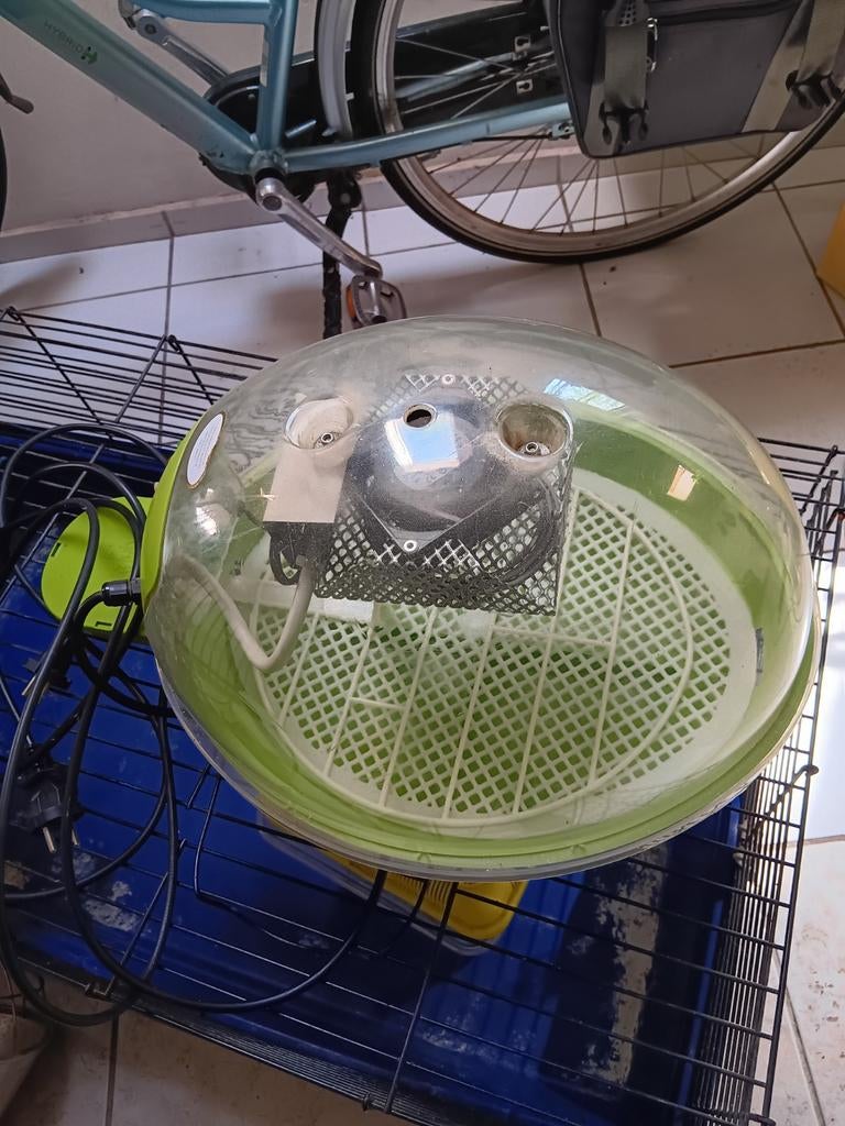 Fiem, Dieren en Toebehoren