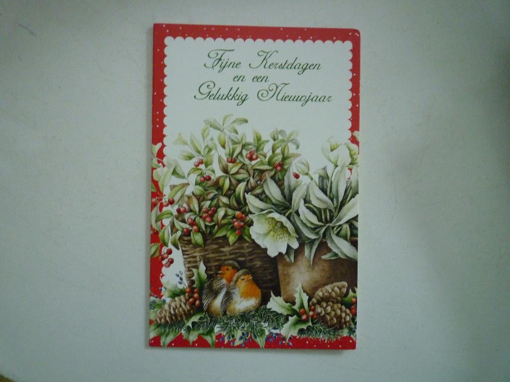 Roodborstje vogels Janneke Brinkman bessen helleborus, Ophalen of Verzenden, Voor 1920, Vogel