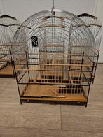 Twatwa kooi Nieuw, Meerdere dieren