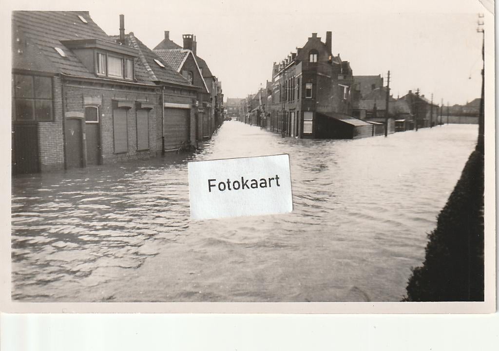 Fotokaart Terneuzen - Watersnood 1953 -, Verzenden, 1940 tot 1960, Ongelopen, Zeeland