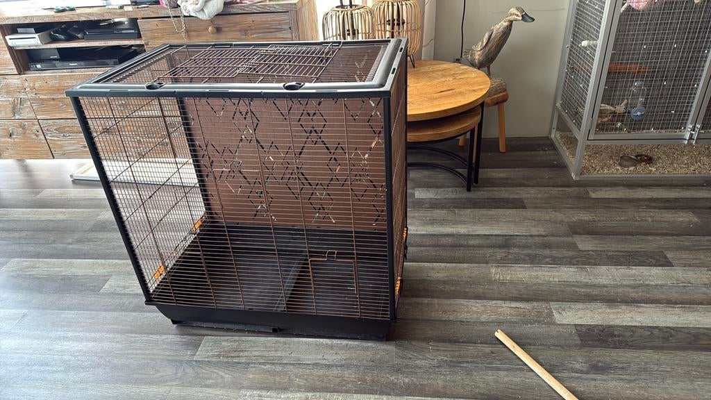 Grote kooi 80x78x48 koper en zwart, Dieren en Toebehoren, Ophalen, Gebruikt, Metaal, Vogelkooi