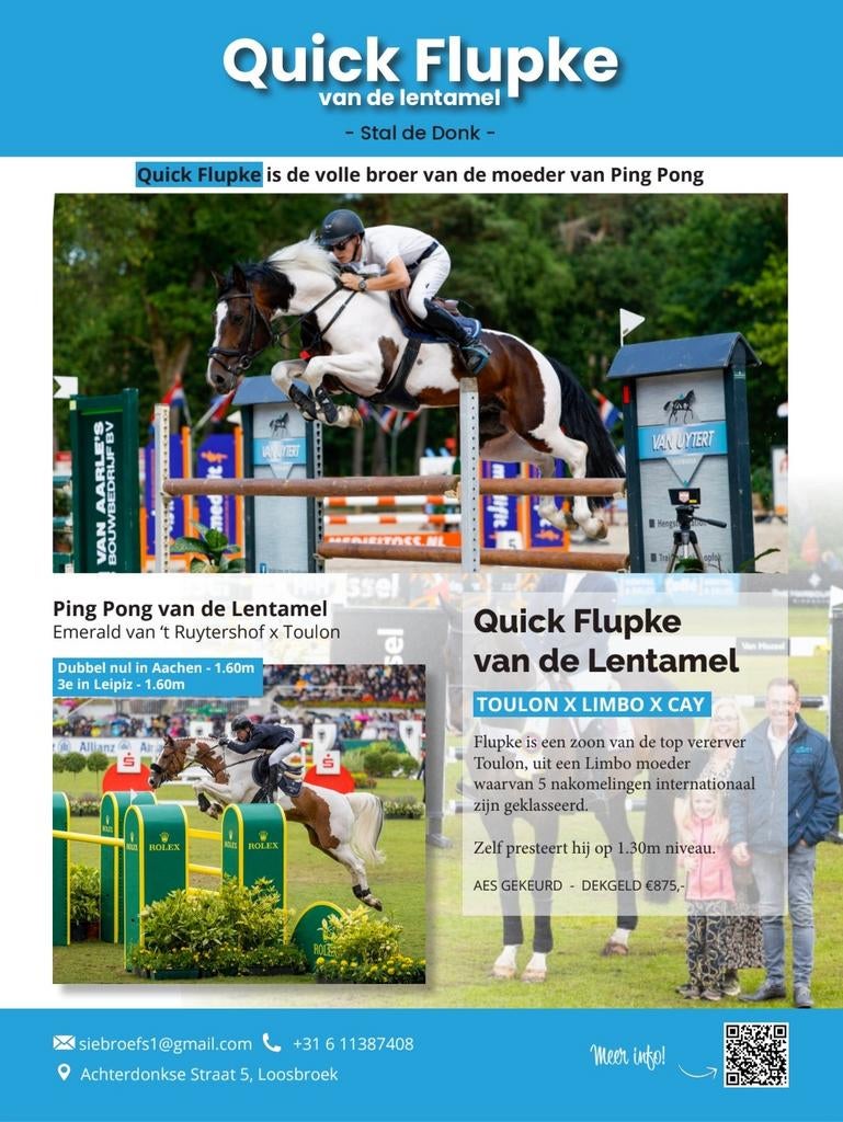 Ter dekking aangeboden.Quick Flupke van de Lentamel., Dieren en Toebehoren