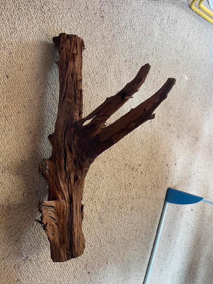 3 mooie grote stukken aquarium hout, Dieren en Toebehoren, Vissen | Aquaria en Toebehoren, Nieuw, Plant(en), Steen of Hout, Ophalen