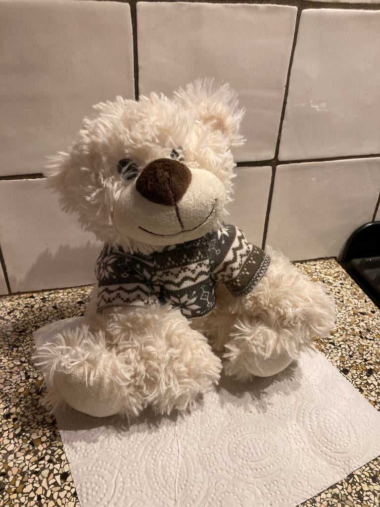 Leuke knuffel beer, Ophalen of Verzenden, Zo goed als nieuw, Beer