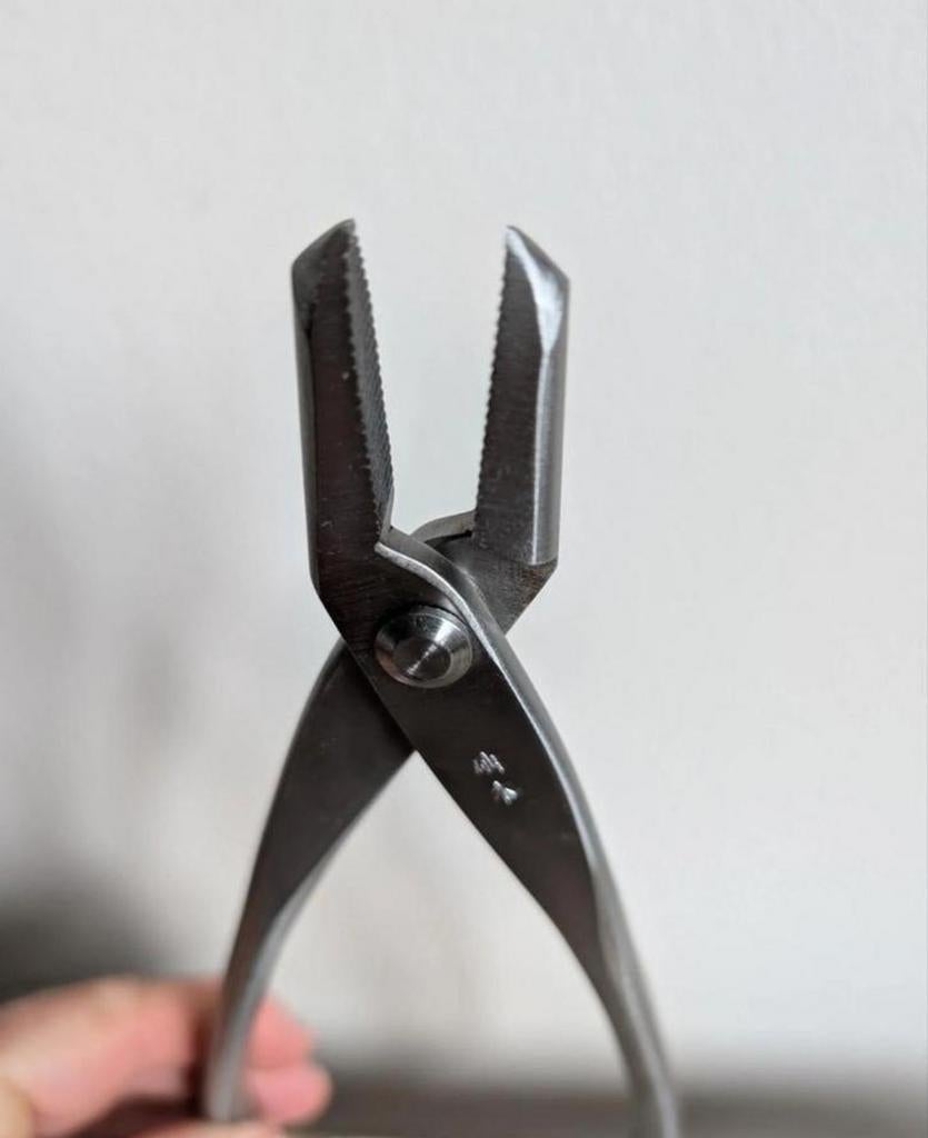 Jintang 21cm Nieuw Steenless Steel, Bloeit niet, Halfschaduw, Minder dan 100 cm, Overige soorten