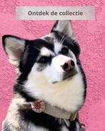 Accessoires voor aan de halsband, Ophalen of Verzenden, Nieuw