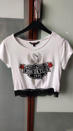 T shirt van coolcat 146, Kinderen en Baby's, Kinderkleding | Maat 146, Gebruikt, Meisje, Coolcat, Ophalen of Verzenden