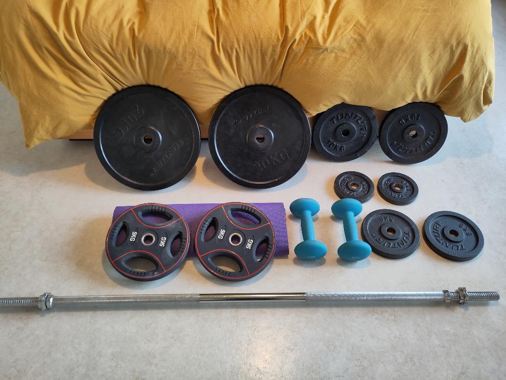 Halter en diverse halterschijven, Sport en Fitness, Ophalen, Zo goed als nieuw, Rug, Halterset