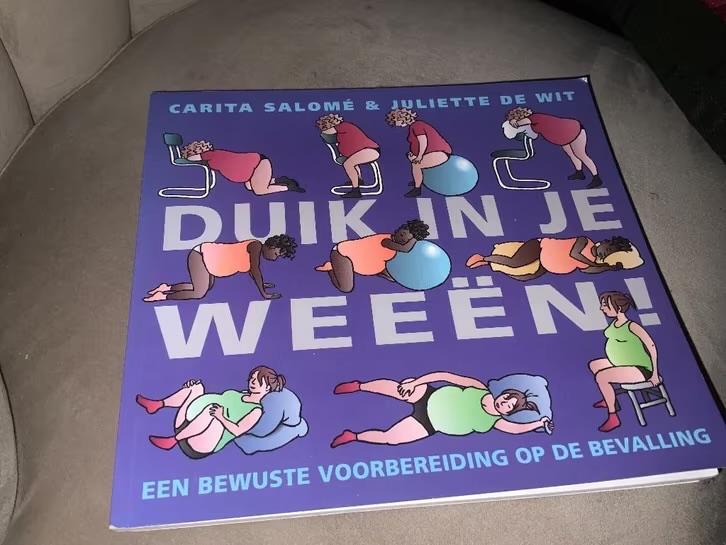 duik in je weeen, Ophalen of Verzenden, Zo goed als nieuw, Zwangerschap en Bevalling