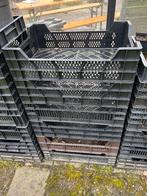 kratten, Ophalen, Gebruikt, Kweekbak