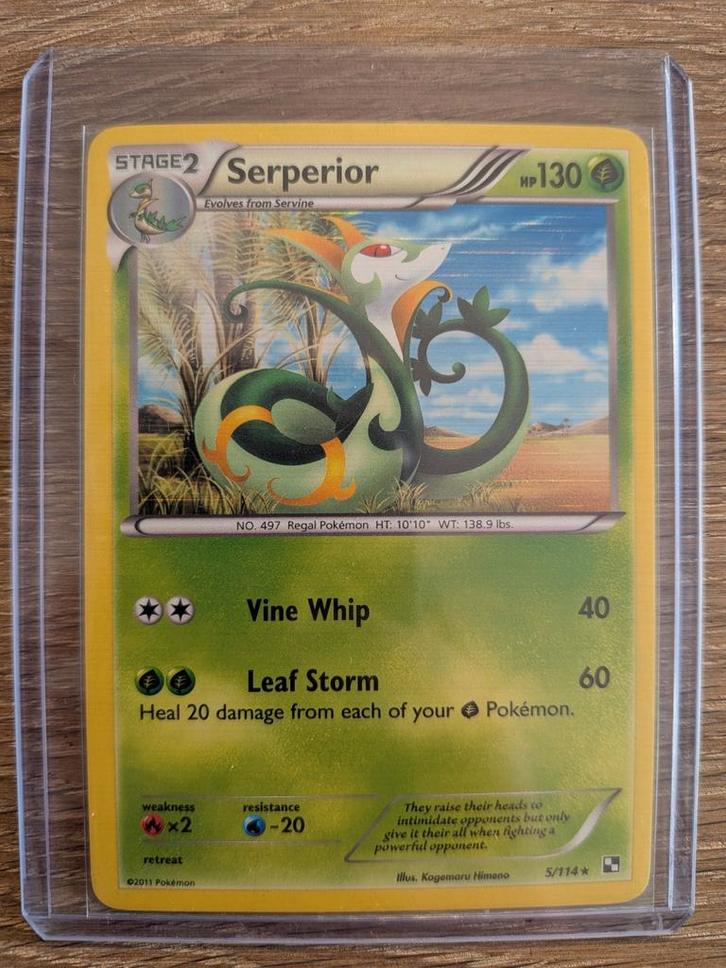 Serperior uit Black & White 5/114, Hobby en Vrije tijd, Verzamelkaartspellen | Pokémon, Zo goed als nieuw, Losse kaart, Foil, Ophalen of Verzenden