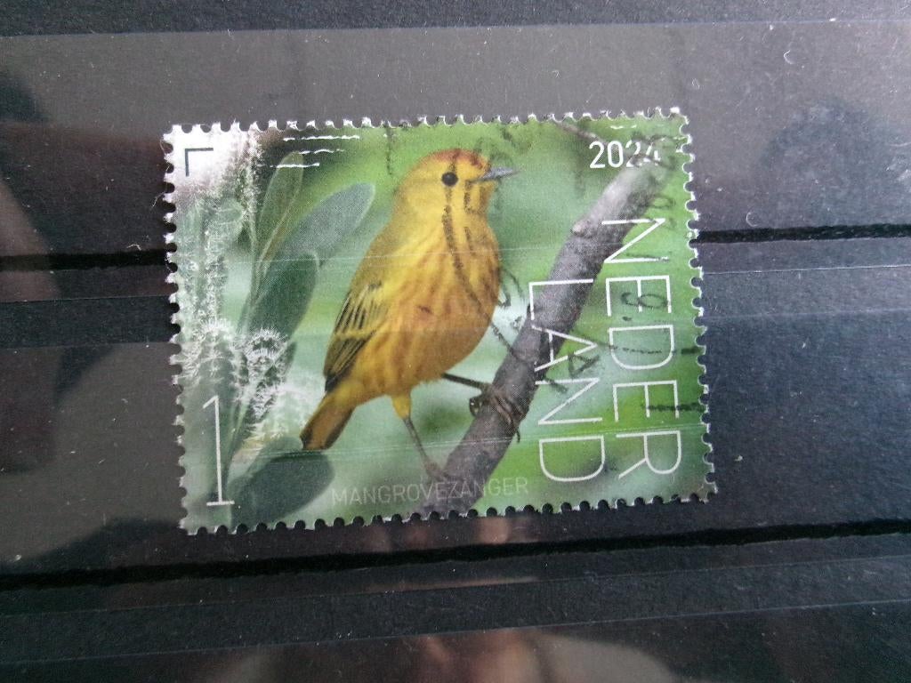 2024 - beleef de natuur mangrovezanger (743b), Postzegels en Munten, Postzegels | Nederland, Verzenden, Gestempeld
