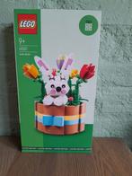 LEGO 40587 Paasmandje - Nieuw in doos, Ophalen of Verzenden, Nieuw