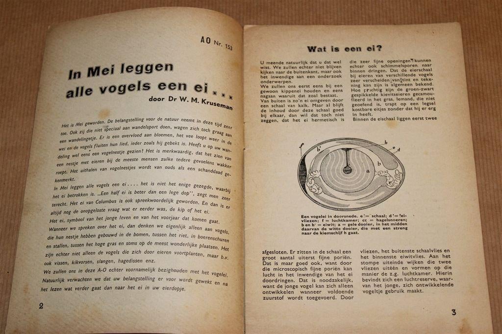 In Mei Leggen Alle Vogels een Ei [1947] — Vintage Boekje, Boeken, Ophalen of Verzenden, Gelezen, Vogels