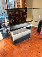 EXO TERRA terrarium + kast en licht, Ophalen, Zo goed als nieuw, Terrarium of Paludarium