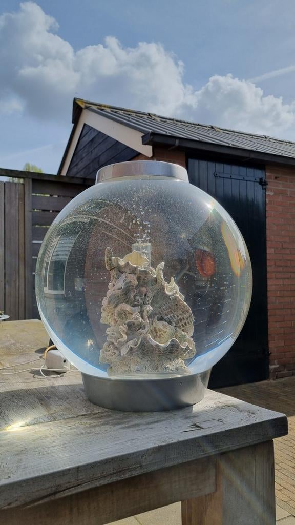 biorb Classic 30 LED Zilver / aquarium met lamp en filter, Dieren en Toebehoren, Ophalen, Gebruikt, Oase, Inclusief toebehoren