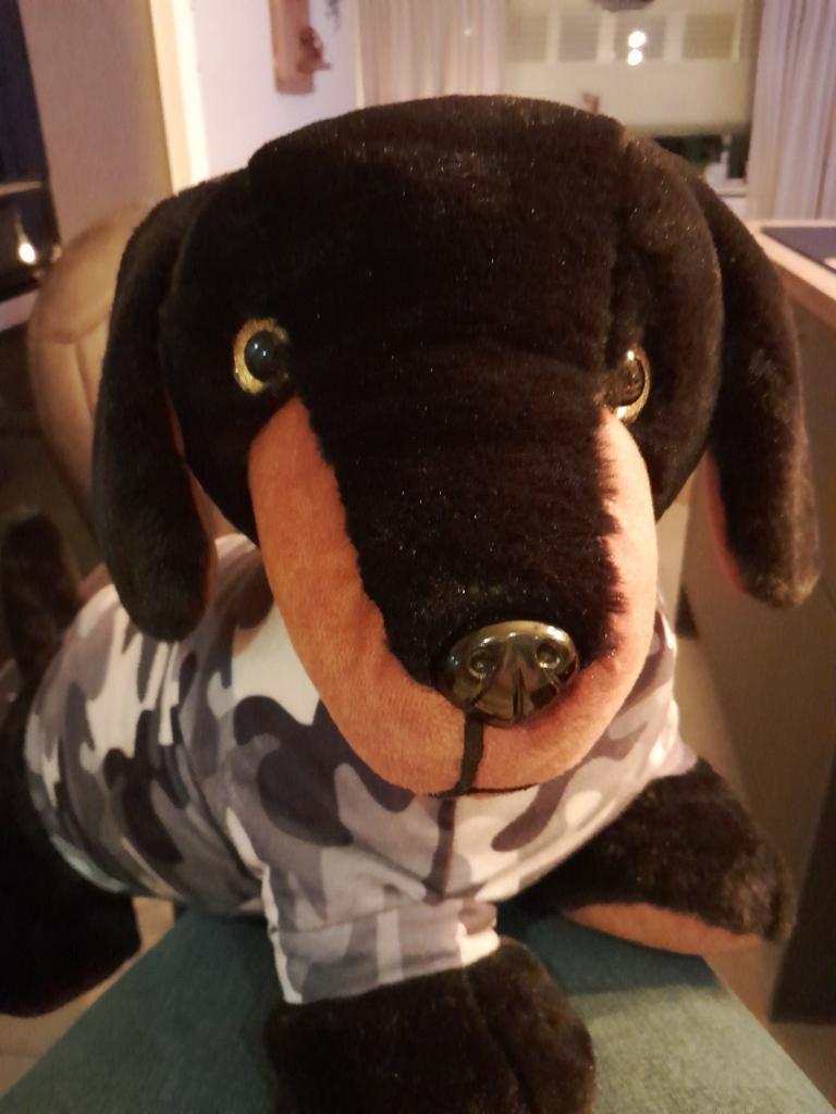 Teckel pluche, Ophalen of Verzenden, Zo goed als nieuw, Overige typen