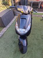 Vivacity 2005, Ophalen