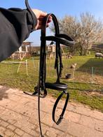 Shetlander hoofdstel, Ophalen of Verzenden, Zo goed als nieuw, Overige soorten