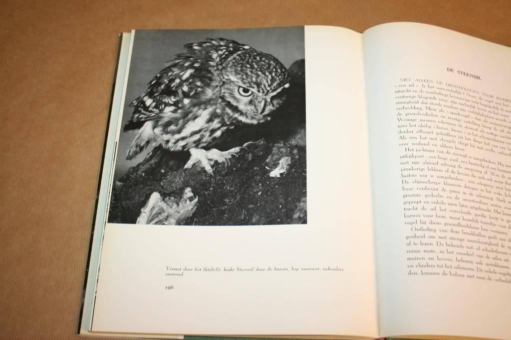 Vogels vóór de Camera - Marcel Verbruggen 1958, Ophalen of Verzenden, Gelezen, Vogels