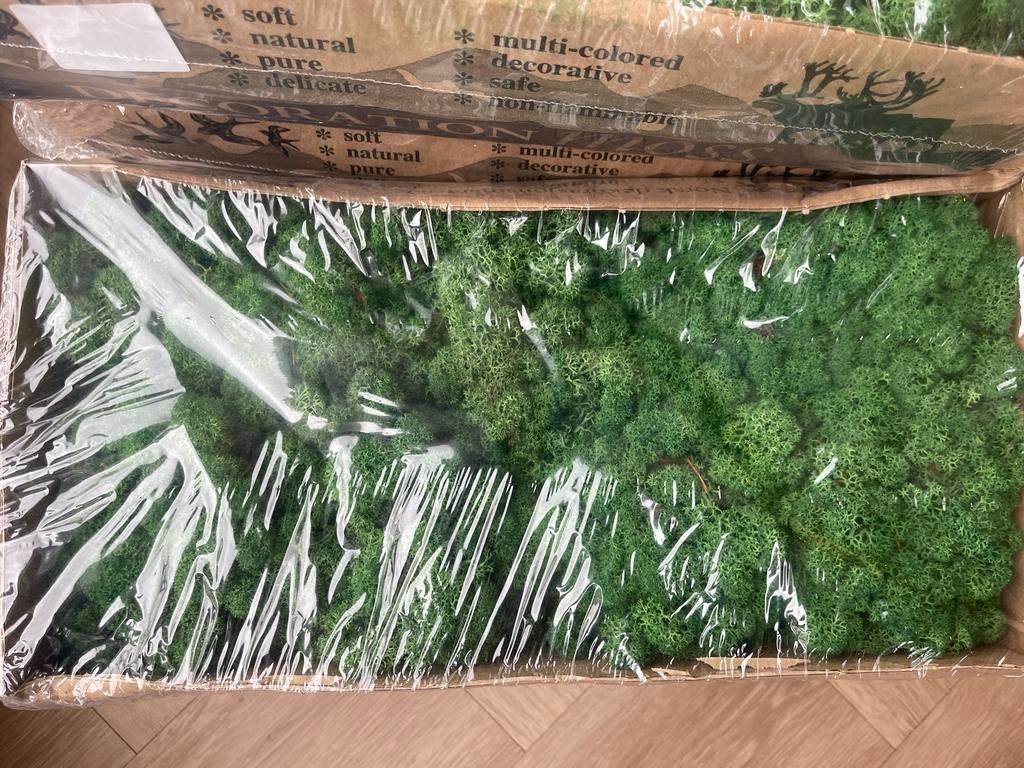 Decoratie mos NIEUW, Ophalen of Verzenden, Nieuw