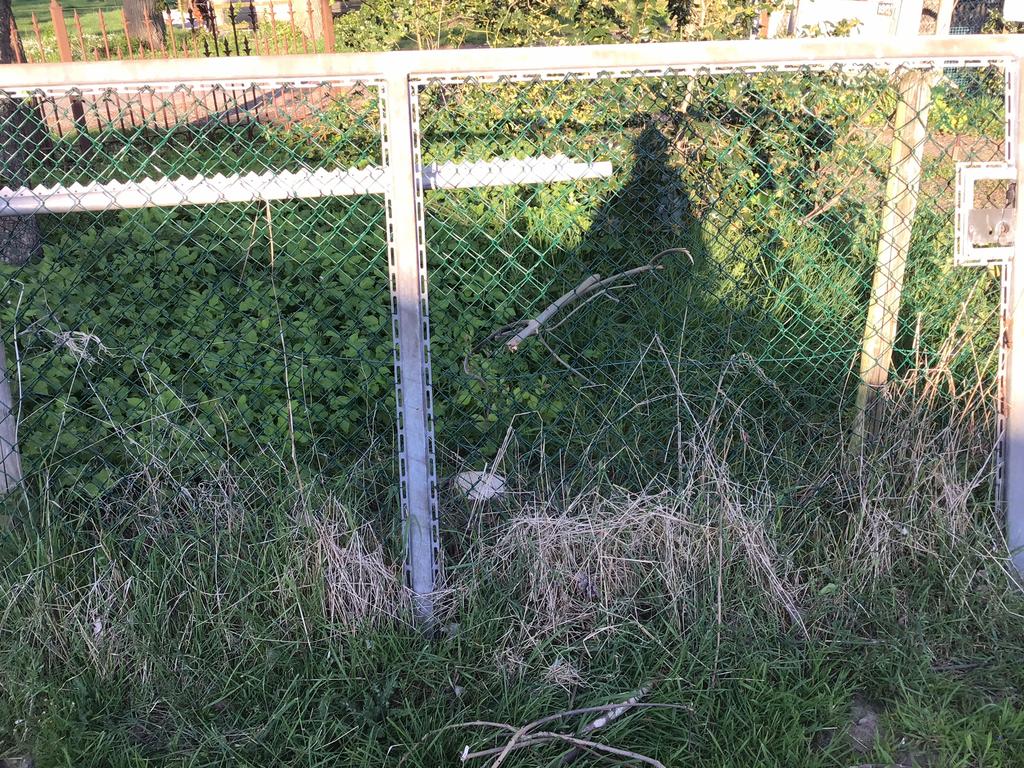 Poort, Tuin en Terras, Ophalen, Gebruikt