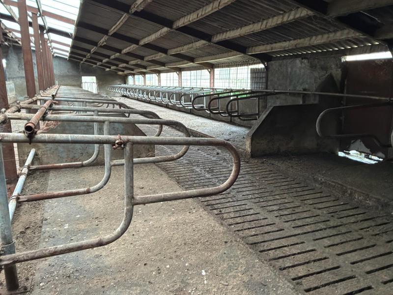 Ligboxen, Dieren en Toebehoren, Stalling en Weidegang