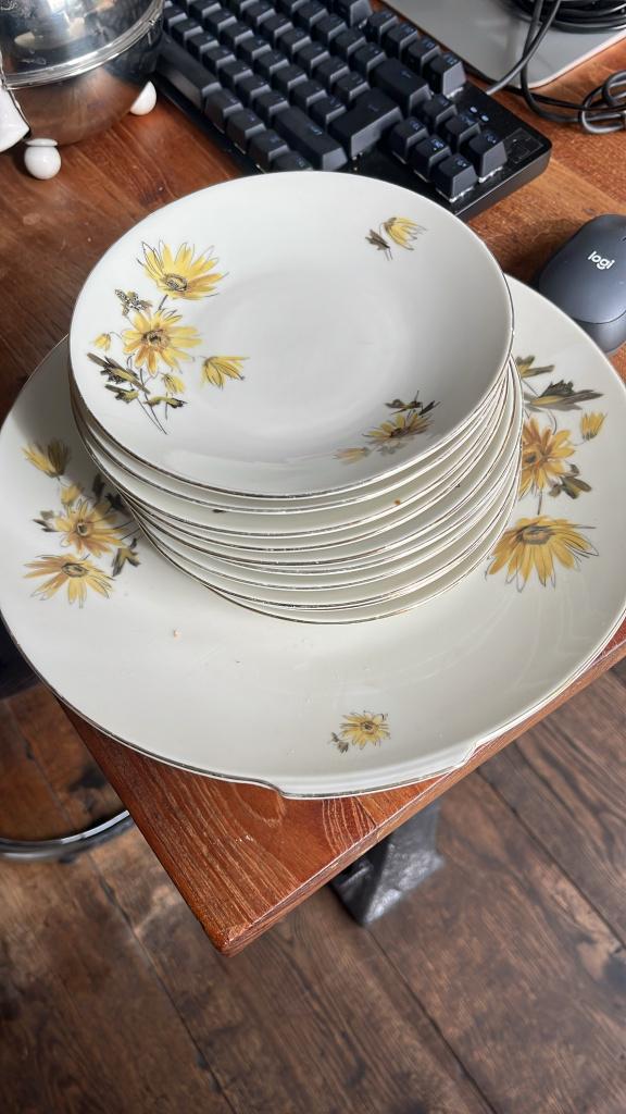 gebak set, Huis en Inrichting, Ophalen, Gebruikt, Bord(en), Overige stijlen